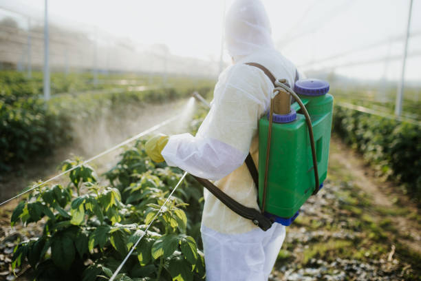 Best Pest Inspection Near Me  in North Platte, NE